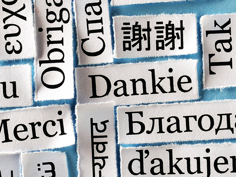 Balans in Afrikaans