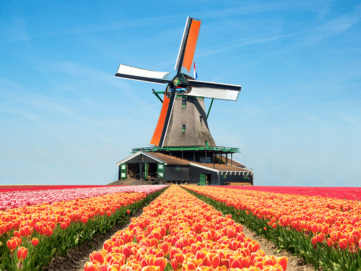 Nederland, land van lekkertes
