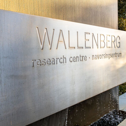 484226362_1051508723687688_3883285674103284546_n 484226362_1051508723687688_3883285674103284546_n