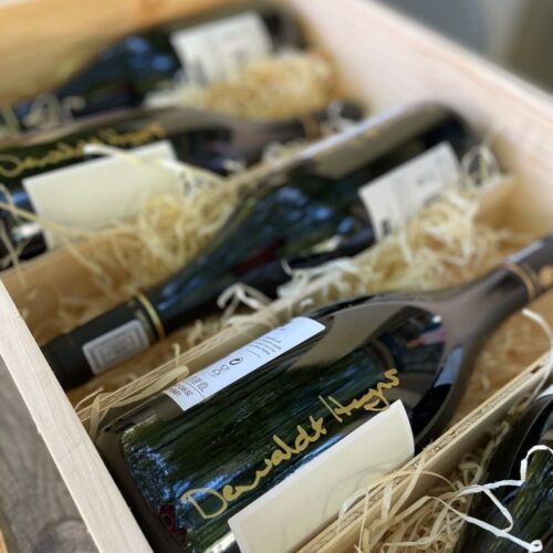 158585595_2135466973255645_119715535166876825_n 158585595_2135466973255645_119715535166876825_n